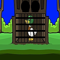 Duckling Escape Game Cover