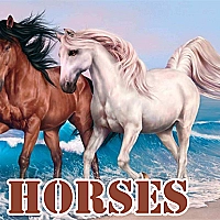 Horses Slide Game Cover