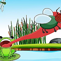 Hungry Frog Game Cover