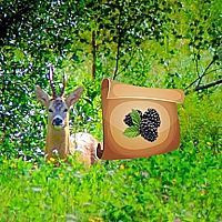 Return To Alsunga Forest Game Cover