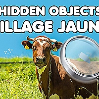Hidden Objects Village Jaunt Game Cover