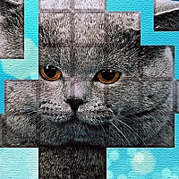 PicPu - Cat Puzzle Game Cover