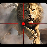 wild life hunting Game Cover