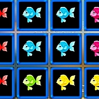 1010 Fish Blocks cover