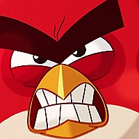 Angry Birds vs Pigs Game Cover