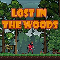 Lost in the Woods Game Cover