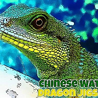 Chinese Water Dragon Jigsaw Game Cover