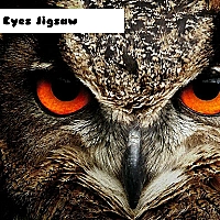 Owl Eyes Jigsaw Game Cover