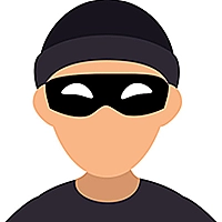Save the Thief Game Cover