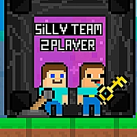 Silly Team   2 Player Game Cover