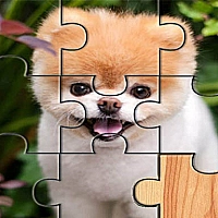 Cute Dogs Jigsaw Puzlle Game Cover