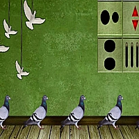 Pigeon Escape 2 Game Cover
