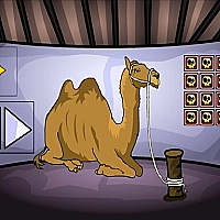 Camel Escape Game Cover