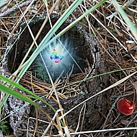 Pavilostas Forest Adventure Game Cover