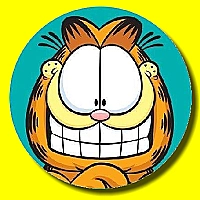 Garfield Hidden Stars Game Cover