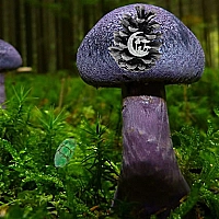 Mushroom Forest Adventure Game Cover