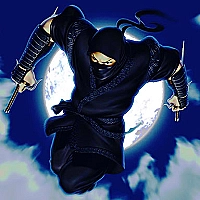Ninja Defender Game Cover