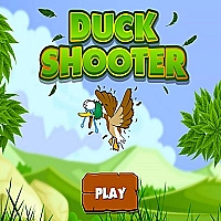 Duck Shooters Game Cover