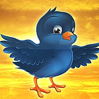 Bird Fly Game Cover