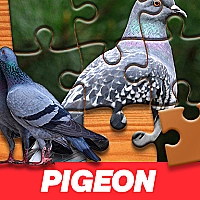 Pigeon Jigsaw Puzzle Game Cover