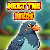 Meet The Birds Game Cover