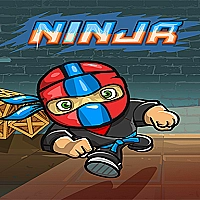 Mini Ninja Game Cover