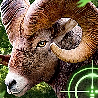 Crazy Goat Hunter 2020 Game Cover