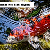 Japanese Koi Fish Jigsaw Game Cover