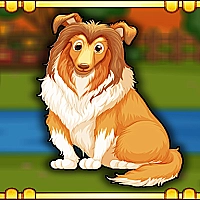 Bernese Mountain Dog Escape Game Cover