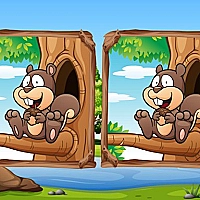 Jungle 5 Diffs Game Cover