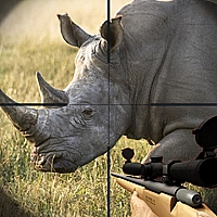 Rhino Hunter Shooting Strike  Game Cover