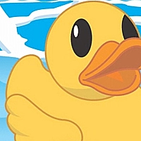 Help The Duck cover