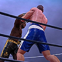 Ultimate Boxing Game Cover