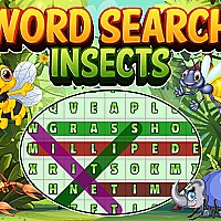 Word Search Insects Game Cover