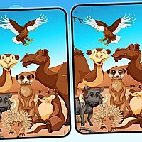 Spot 5 Differences Deserts Game Cover
