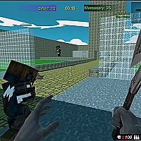 Pixel Fps SWAT Command blocky combat Game Cover