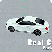 Real Car Parking 3D Game Cover