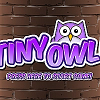 Tiny Owl Game Cover