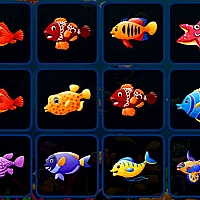 Fish Cards Match Game Cover