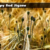 Poppy Bud Jigsaw Game Cover