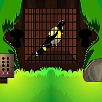 Black Bird Escape Game Cover