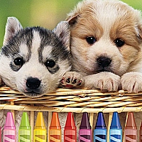 4GameGround - Puppy Coloring Game Cover