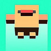 Flap Up Game Cover