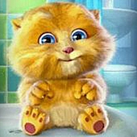 Talking Baby Ginger Game Cover