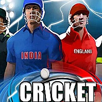 World Cricket Stars Game Cover