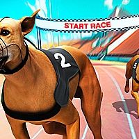 Crazy Dog Racing Fever Game Cover