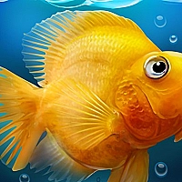 Fish tank Aquarium Game Cover