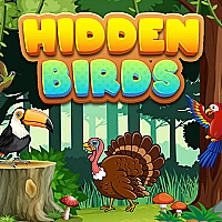 Hidden Birds Game Cover