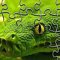 Snakes Jigsaw Puzzle Game Cover
