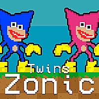 Twins Zonic Game Cover